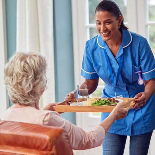Domestic Assistance